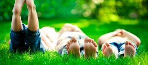 How to Seed Your Lawn