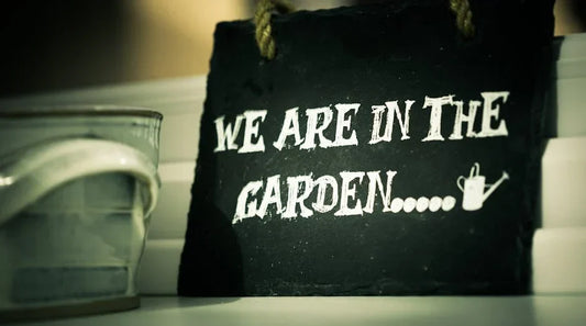 List of Vegetable Plants Available