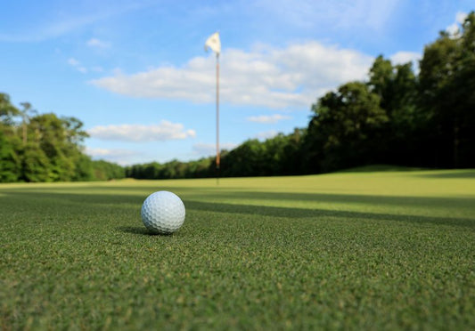Expert Tips for Keeping Your Lawn Green in the Heat