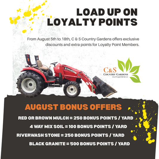 Load Up On Loyalty Points