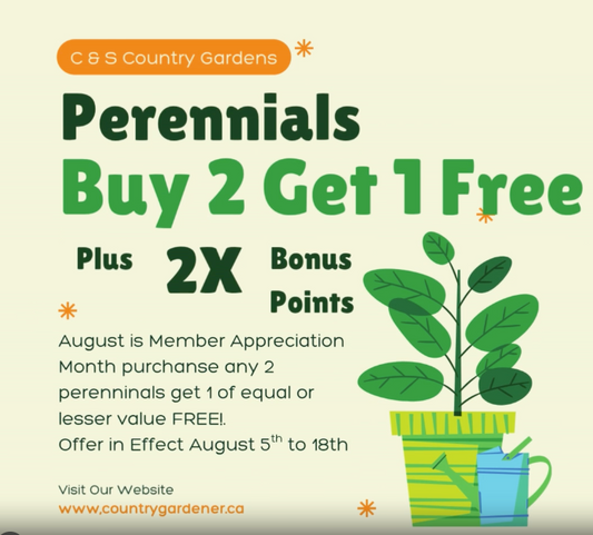 Buy 2 Perennials and Get 1 FREE! 🎉