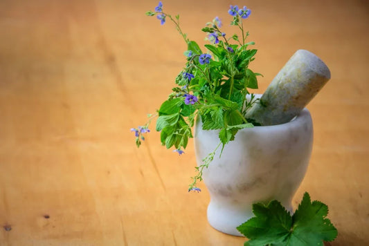 Kitchen Herb Garden: Fresh Herbs All Season Long