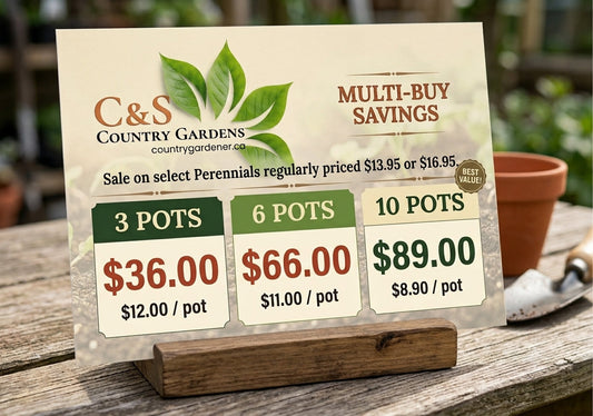 🌿 Upgrade your garden with Multi-Buy Savings at C&S Country Gardens! 🌸 Perennials