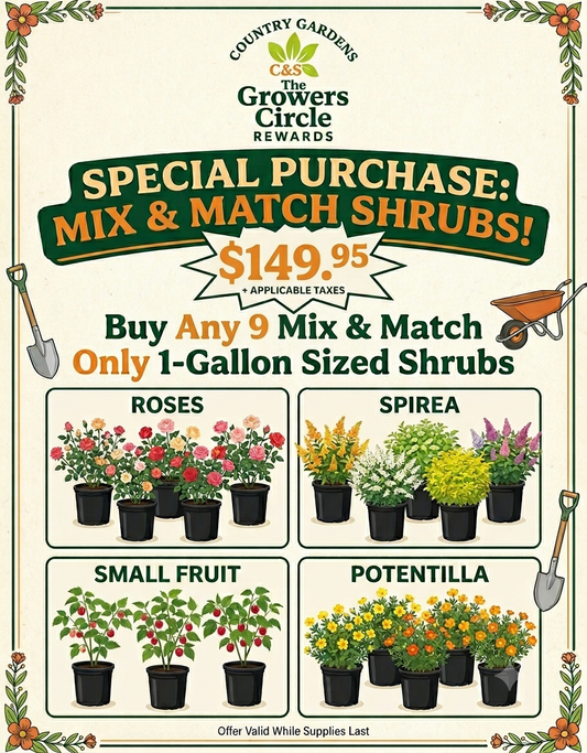 Mix and Match 9-Pack Shrubs for Just $149.95