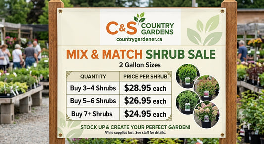 Mix and Match Shrub Sale