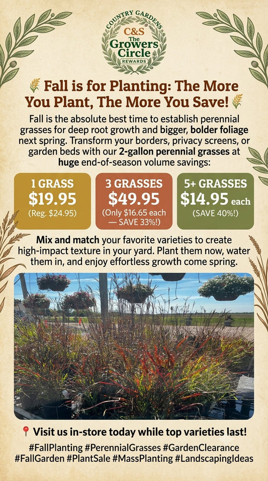 🌾 Fall is for Planting: The More You Plant, The More You Save! 🌾