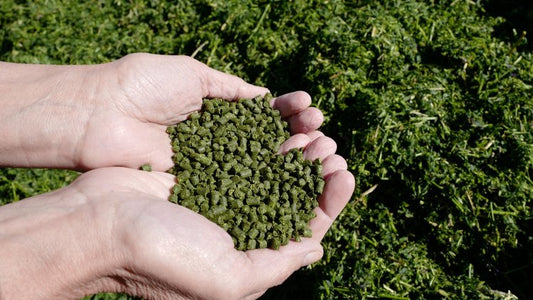 Unleash the Power of Alfalfa Green: The Best Organic Fertilizer Available!