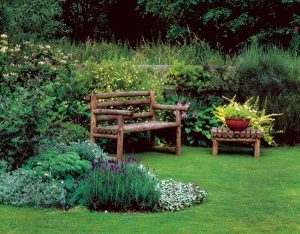 Planning A Perennial Garden