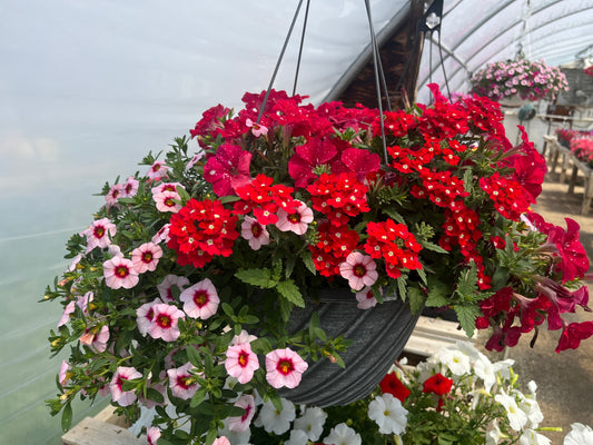 Fundraiser Voucher Option 1