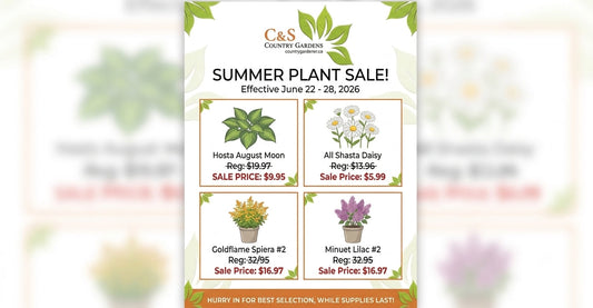 Summer Savings on Plants and Garden Favorites This Week