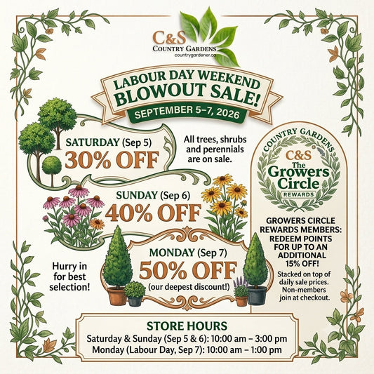 Labour Day Weekend Sale: Up to 50% Off Trees, Shrubs & Perennials