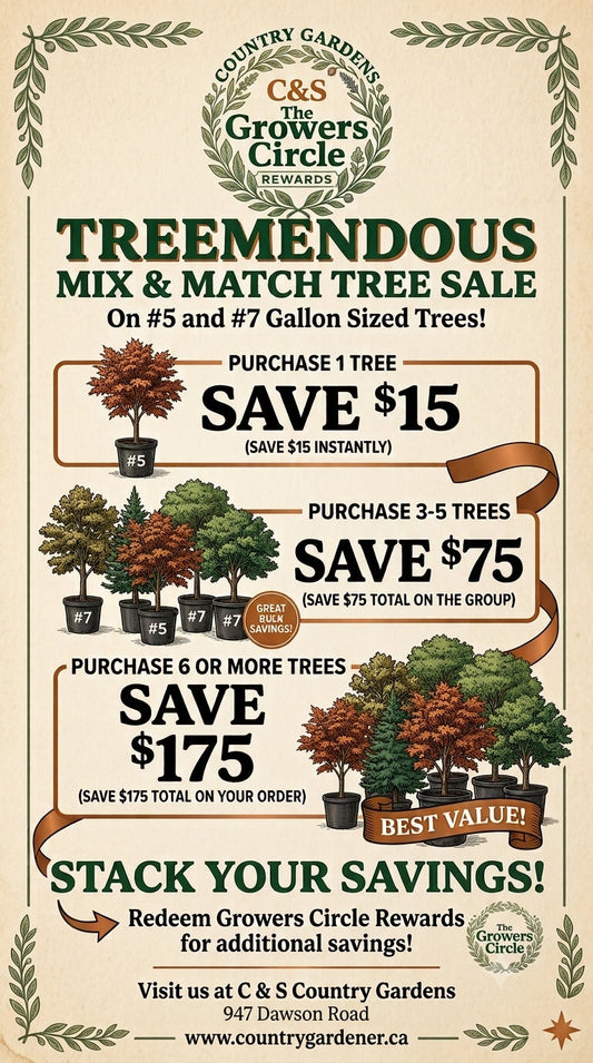 TREEMENDOUS SAVINGS ON TREES THIS FALL