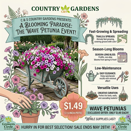 Wave Petunias Just $1.49—Sale Ends May 28