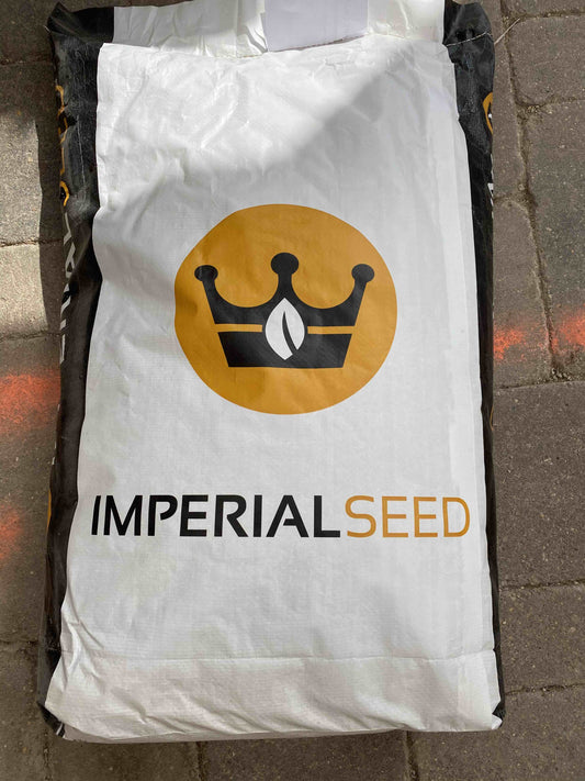 Grass Seed - Low Maintenance Eco Grass Seed 10 KG