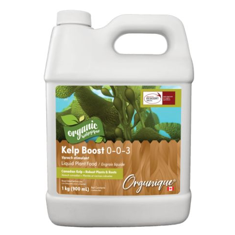 Kelp Boost - 880 ml